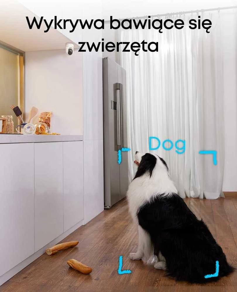 eufy Security Solo IndoorCam E220 P24 2K Wi‑Fi vidaus stebėjimo kamera, komplektas 2 vnt.