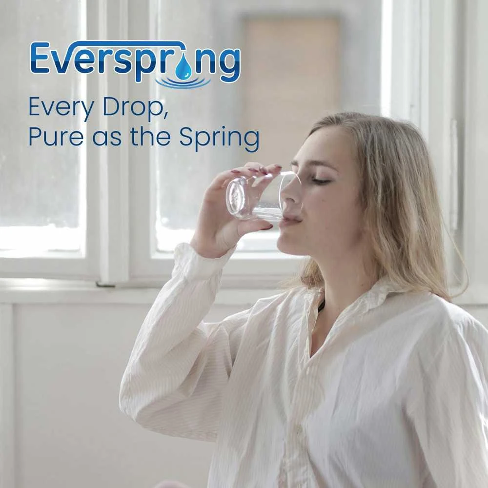 Everspring vandens filtro kasetės, suderinamos su Brita Maxtra Plus, 12 vnt.