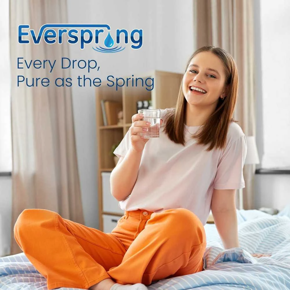 Everspring vandens filtro kasetės, suderinamos su Brita Maxtra Plus, 12 vnt.
