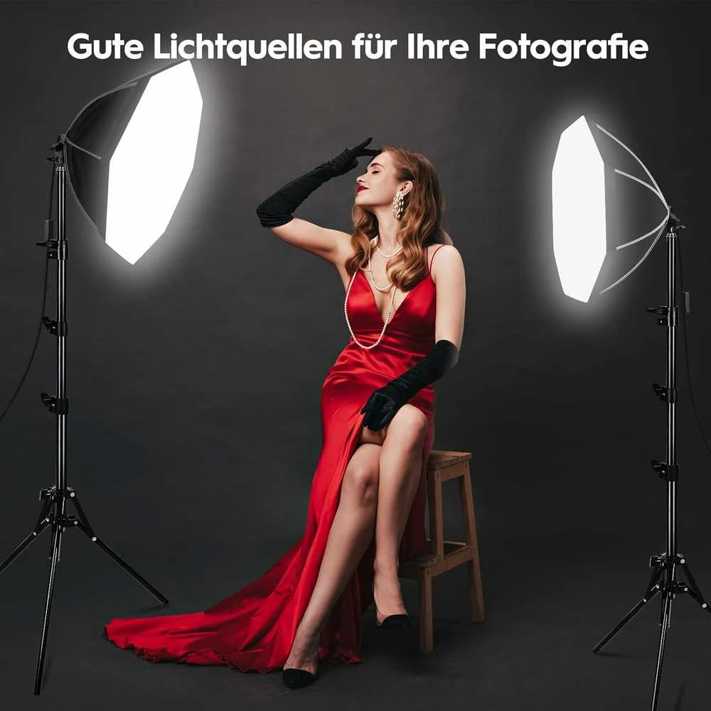 FGen LED studijos apšvietimo rinkinys su dviem 50 cm aštuonkampiais softbox ir 2 x 85 W lempomis, LED4000