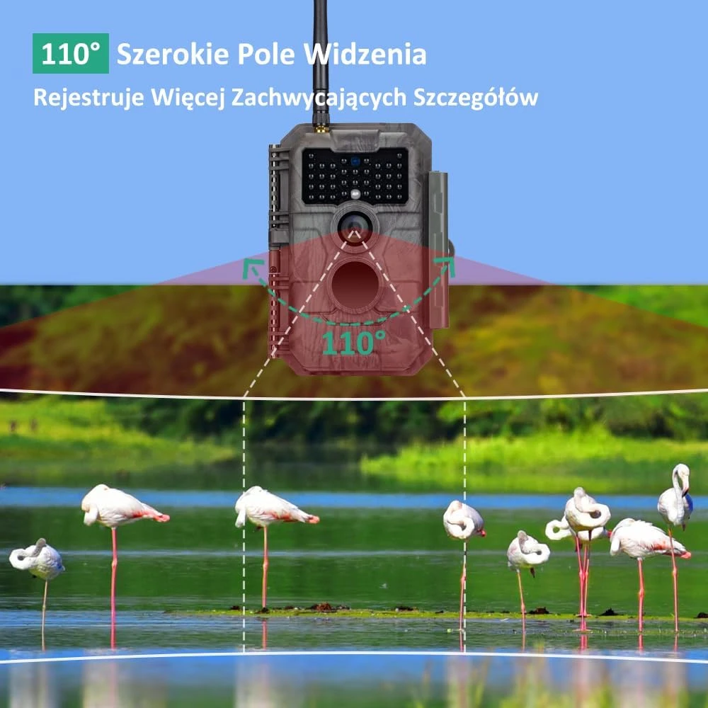 GardePro miško kamera E6 su Wi-Fi, 64 MP, 1296p vaizdo įrašymu ir 940 nm infraraudonaisiais