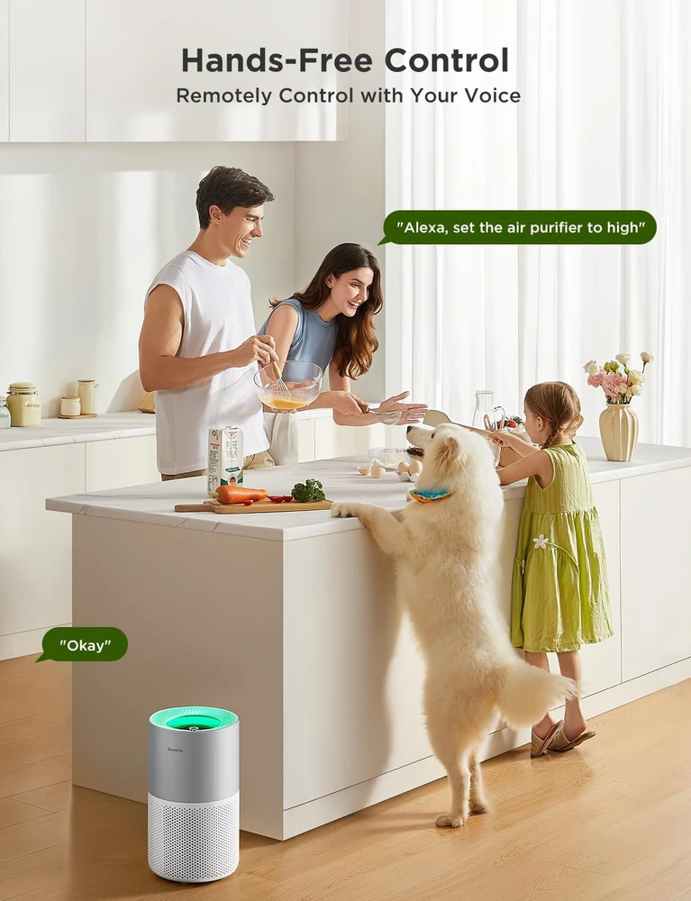 GoveeLife oro valytuvas su HEPA H13 filtru, Wi-Fi valdymu, 24 dB, H7129