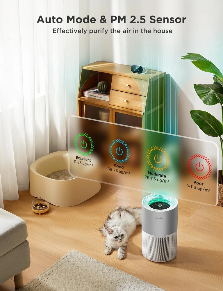 GoveeLife oro valytuvas su HEPA H13 filtru, Wi-Fi valdymu, 24 dB, H7129