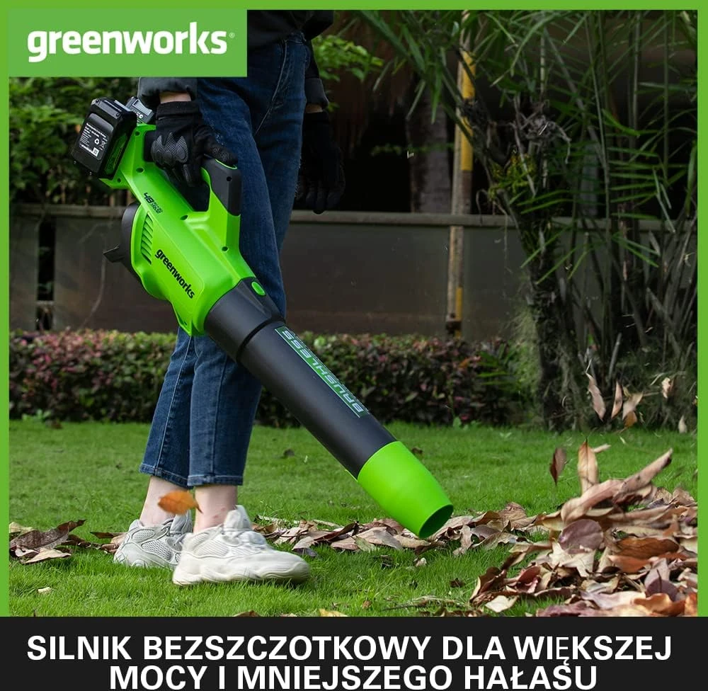 Greenworks akumuliatorinis lapų pūstuvas 217 km/h su 2 x 24 V 2 Ah akumuliatoriais, 01-0002405007UC