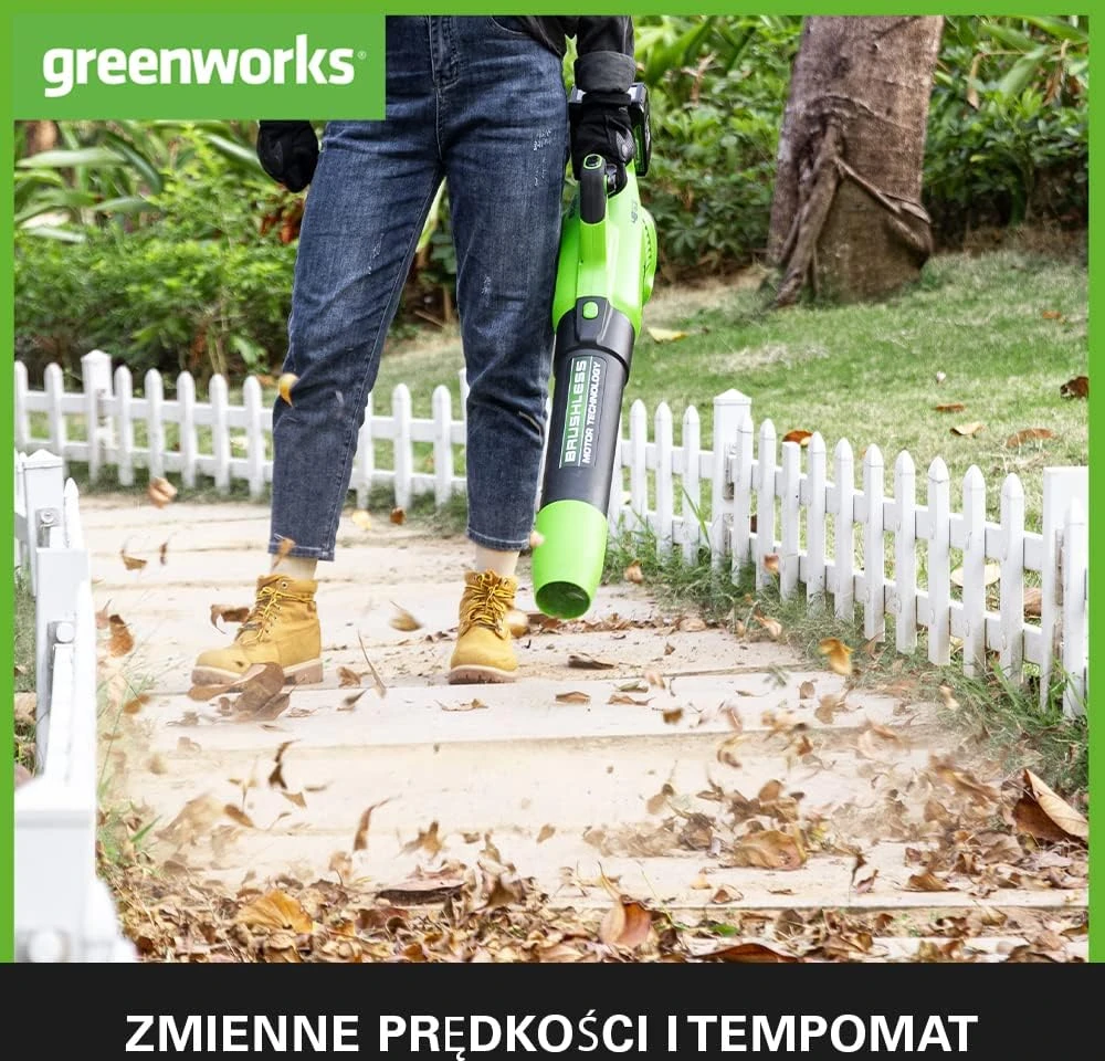 Greenworks akumuliatorinis lapų pūstuvas 217 km/h su 2 x 24 V 2 Ah akumuliatoriais, 01-0002405007UC
