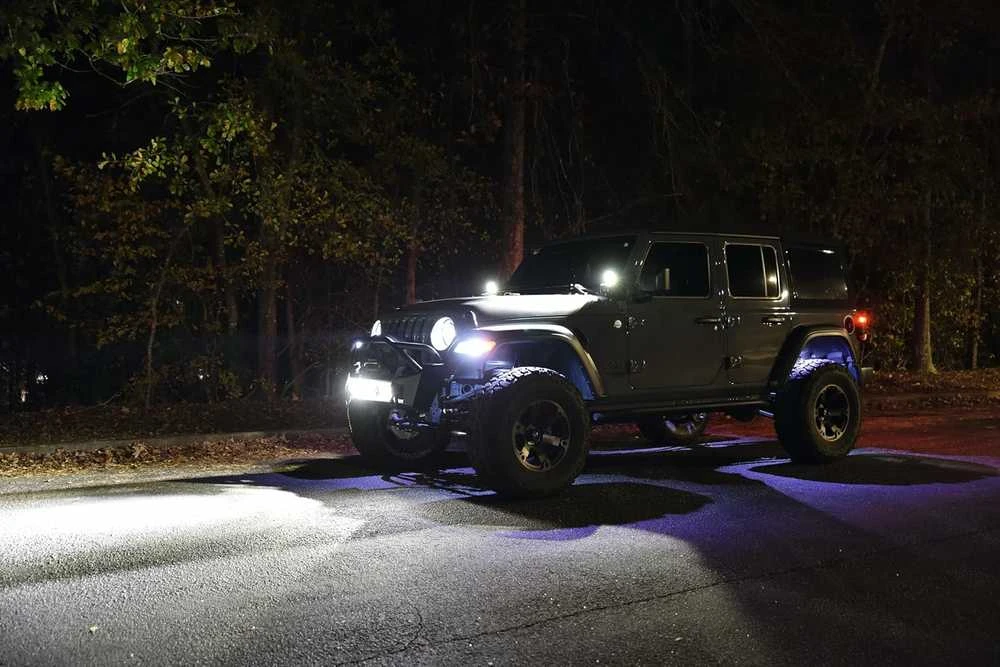 HELLA 1FA LED priekiniai žibintai