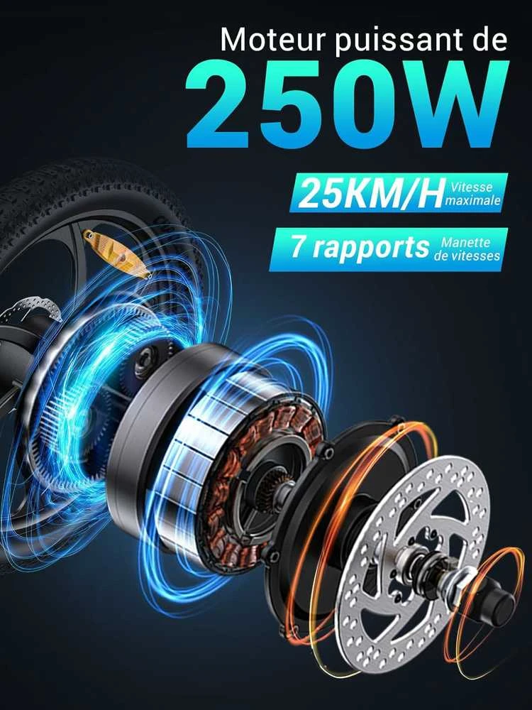 HillMiles elektrinis sulankstomas dviratis 20 colių 250 W, 36 V 13 Ah, 7 pavarų, juodas, MilePort 1