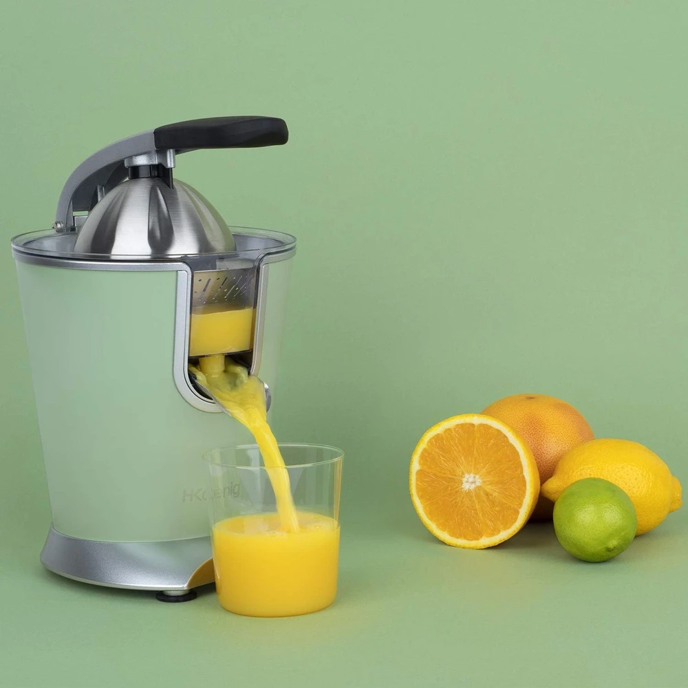 H.Koenig elektrinė citrusinių vaisių sulčiaspaudė 160 W iš nerūdijančiojo plieno AGR88