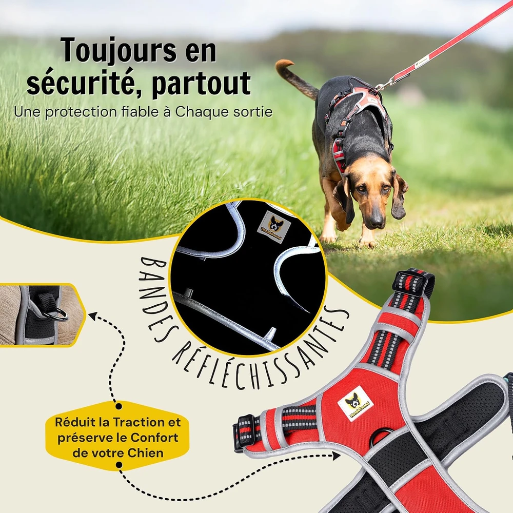 Hundefreund šunų petnešos su atšvaitais, paminkštinimu ir 3 sagtimis, XL, raudonos
