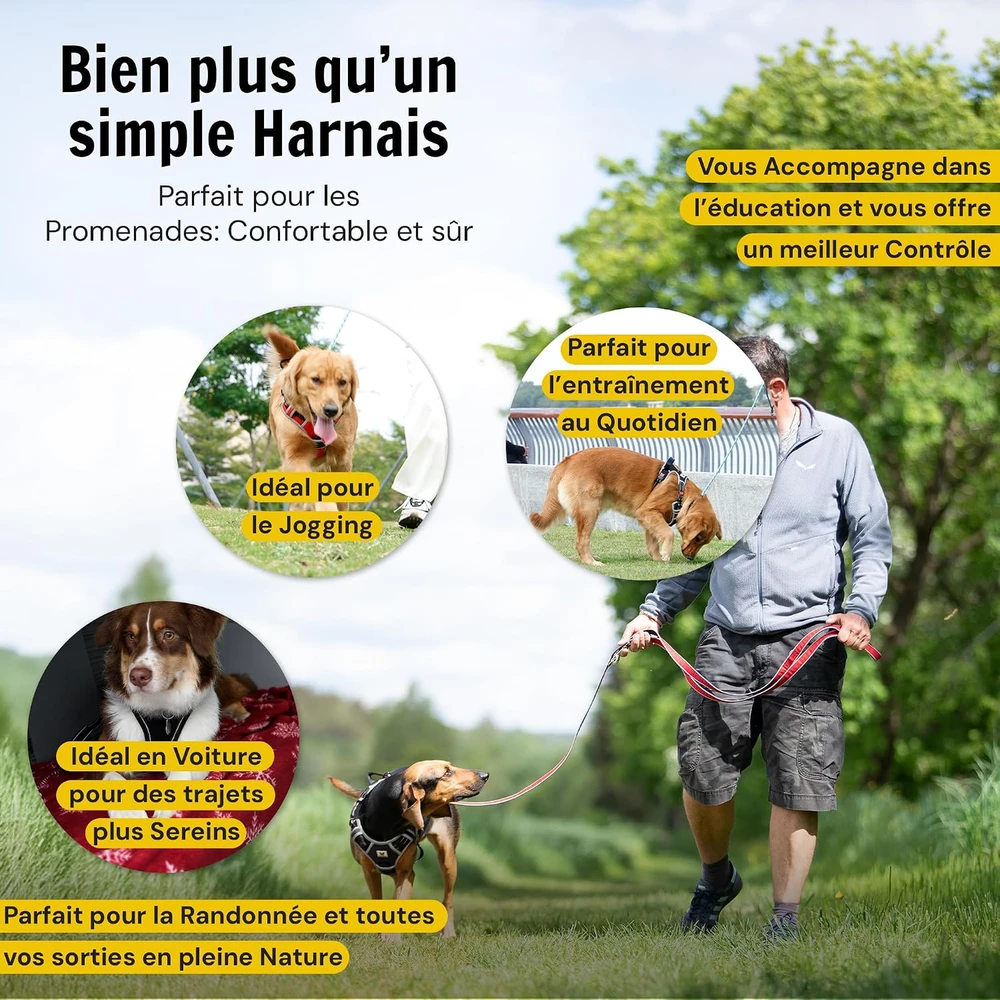 Hundefreund šunų petnešos su atšvaitais, paminkštinimu ir 3 sagtimis, XL, raudonos