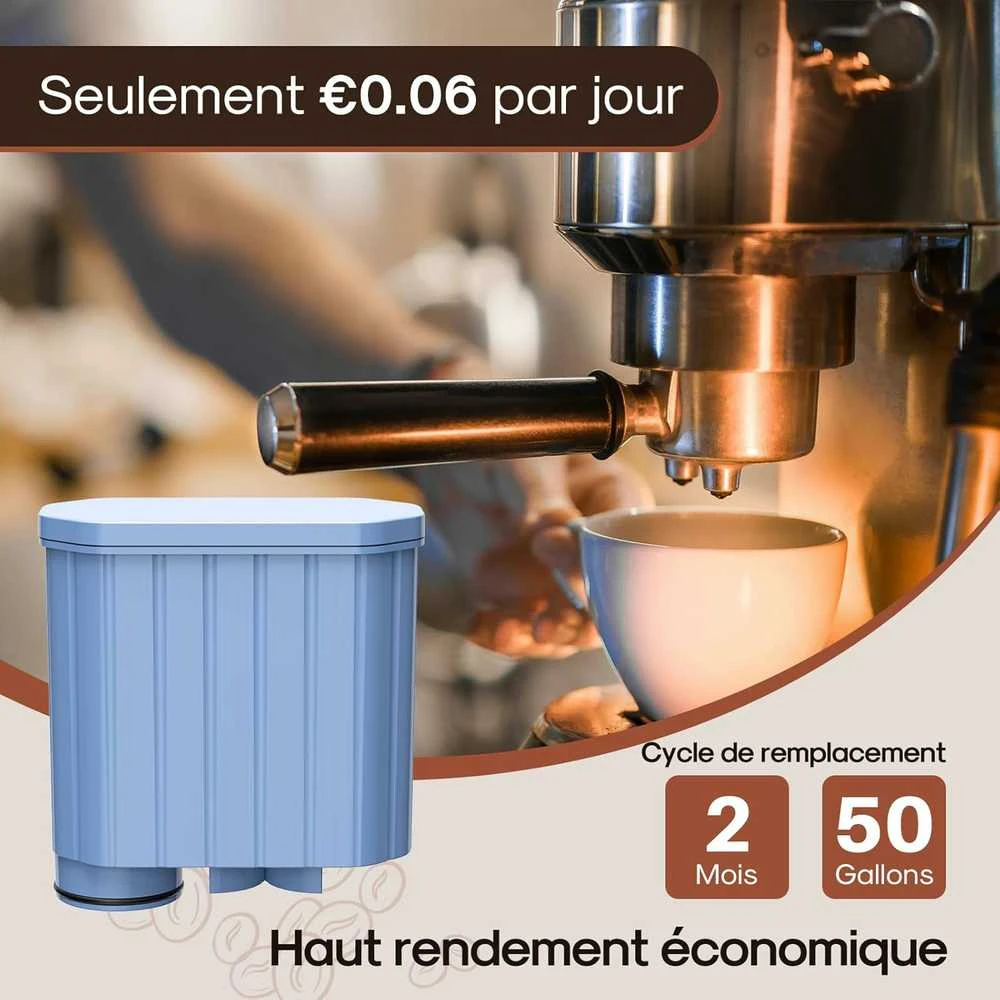ICEPURE vandens filtras kavos aparatams, suderinamas su Philips AquaClean CA6903, 6 vnt.