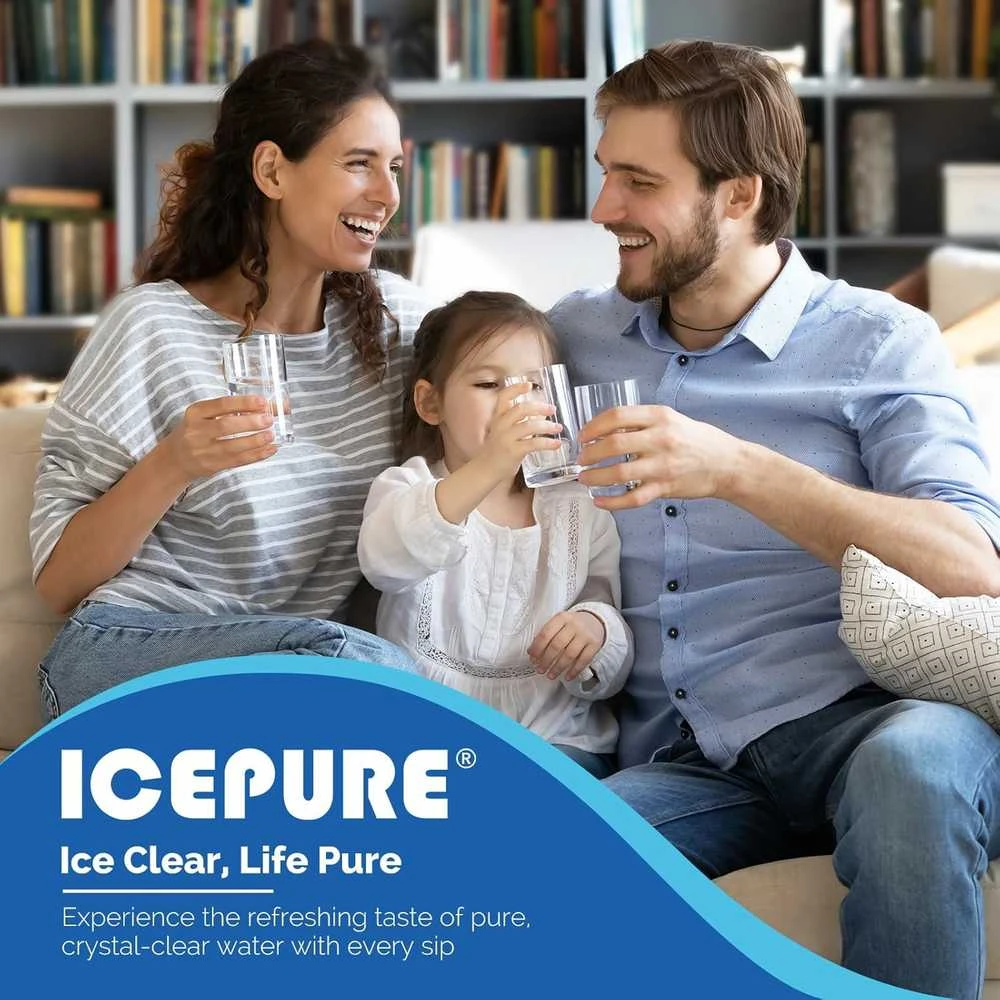 ICEPURE vandens filtras šaldytuvui, aktyvuotos anglies, 19,6 cm, RWF4200 A, 3 vnt.