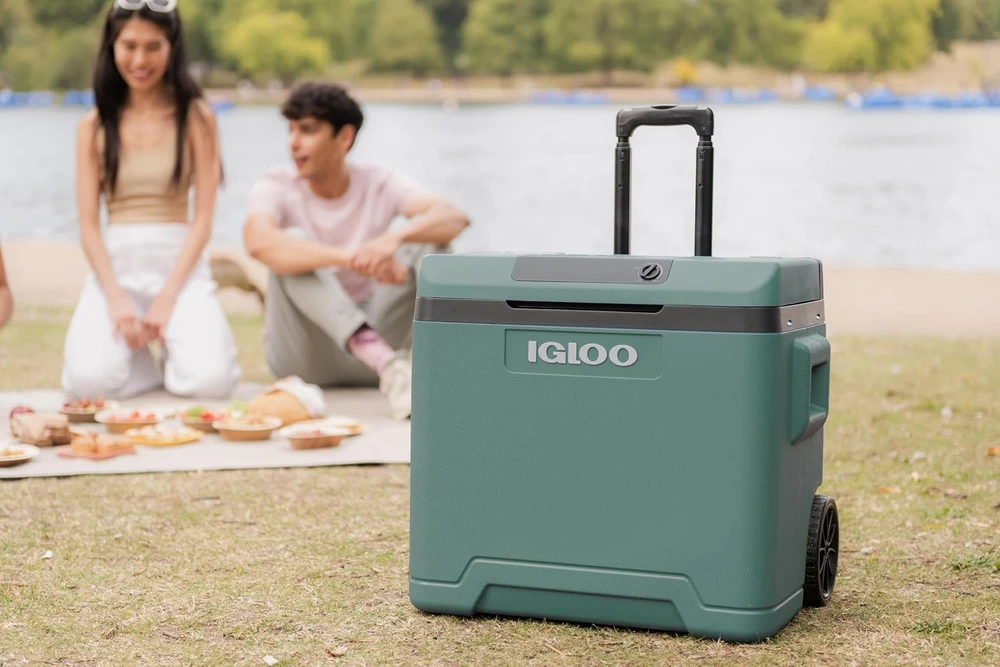 Igloo IE42 termoelektrinė šaldymo dėžė 42 l, šviesi Mėlyna
