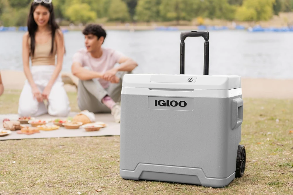 Igloo IE42 termoelektrinė šaldymo dėžė 42 l, šviesi Mėlyna