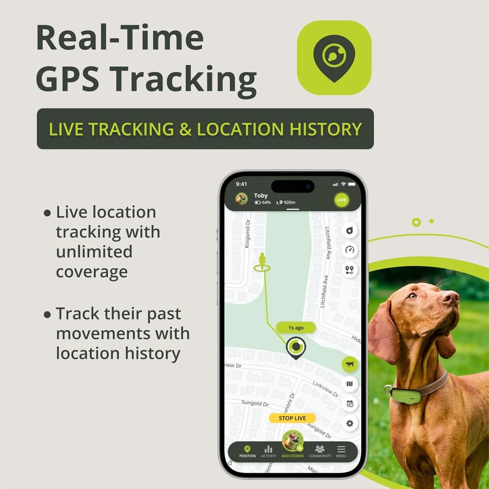 Kippy GPS sekiklis šunims ir katėms, atsparus vandeniui, su 4G LTE-M, žalias
