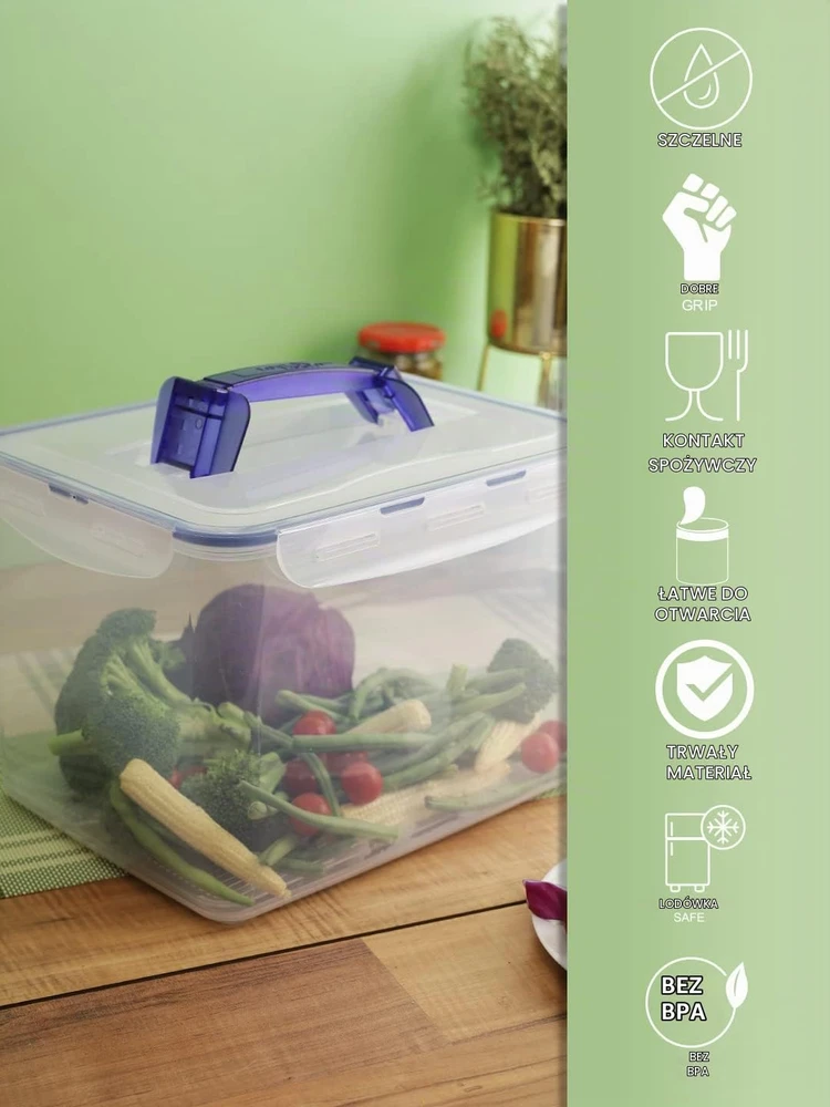 LocknLock maisto laikymo dėžutė PP Classic 10 l su rankena ir įdėklu