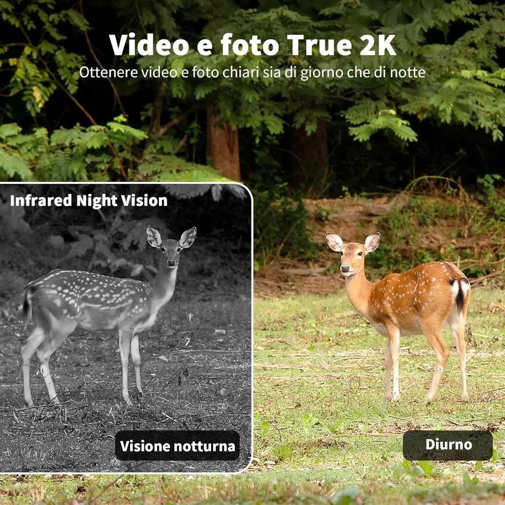 NUASI 4G LTE išorinė 2K saulės kamera su SIM, IP66, 360° matymo kampas, spalvotas naktinis matymas, RBX-S60