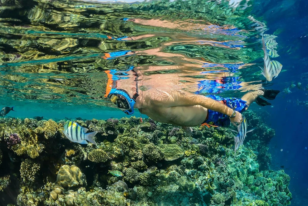 Ocean Reef pilno veido nardymo kaukė su kvėpavimo vamzdeliu, panoraminis 180° matymo kampas, QR+