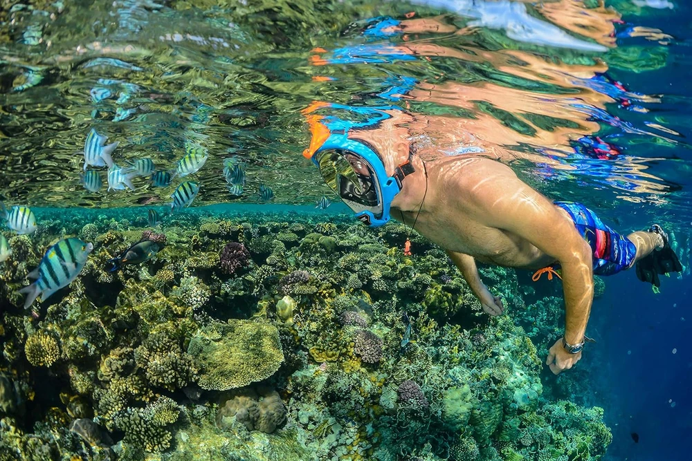 Ocean Reef pilno veido nardymo kaukė su kvėpavimo vamzdeliu, panoraminis 180° matymo kampas, QR+