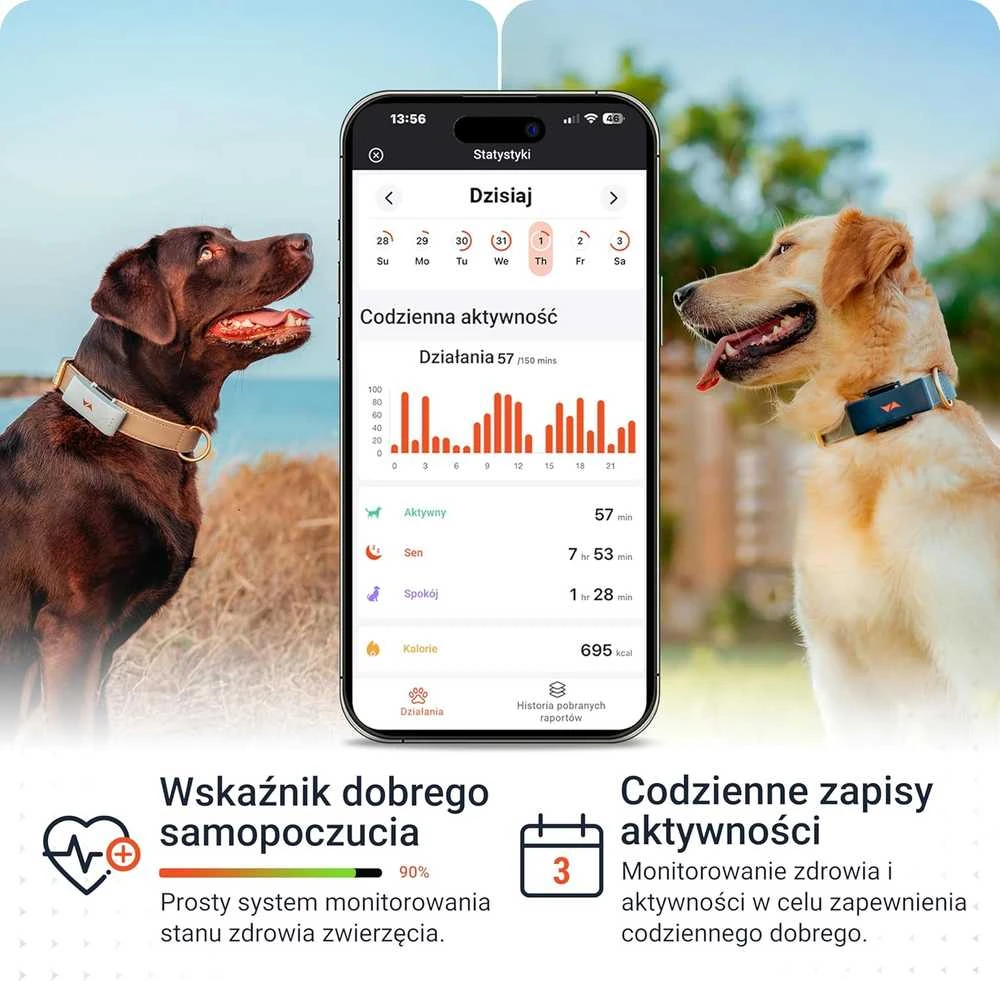 PAJ GPS šunų sekimo įrenginys su GPS, 4G, IP67 atsparus vandeniui, LED diodas, baterija iki 10 dienų, PET Finder 4G