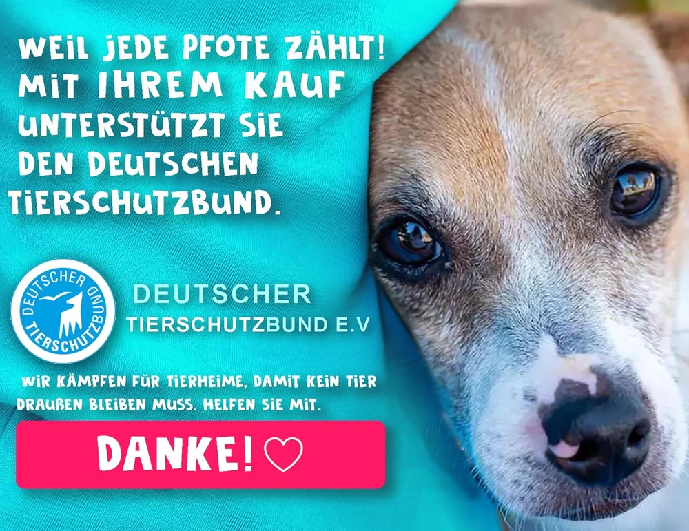 Paws Elegance kelioninė gertuvė šunims, 800 ml, su ėdalo talpykla ir dantų šepetėliu, turkio spalvos
