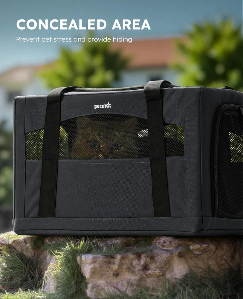 pecute kačių transportavimo krepšys 43 × 28 × 28 cm iki 5kg CSC--PCB11