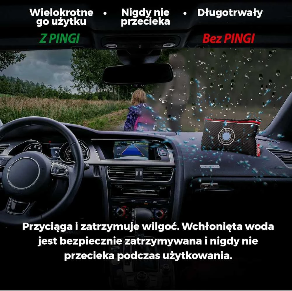 Sausintuvas Pingi LV-A300 daugkartinio naudojimo automobilio drėgmės surinkėjas 300g
