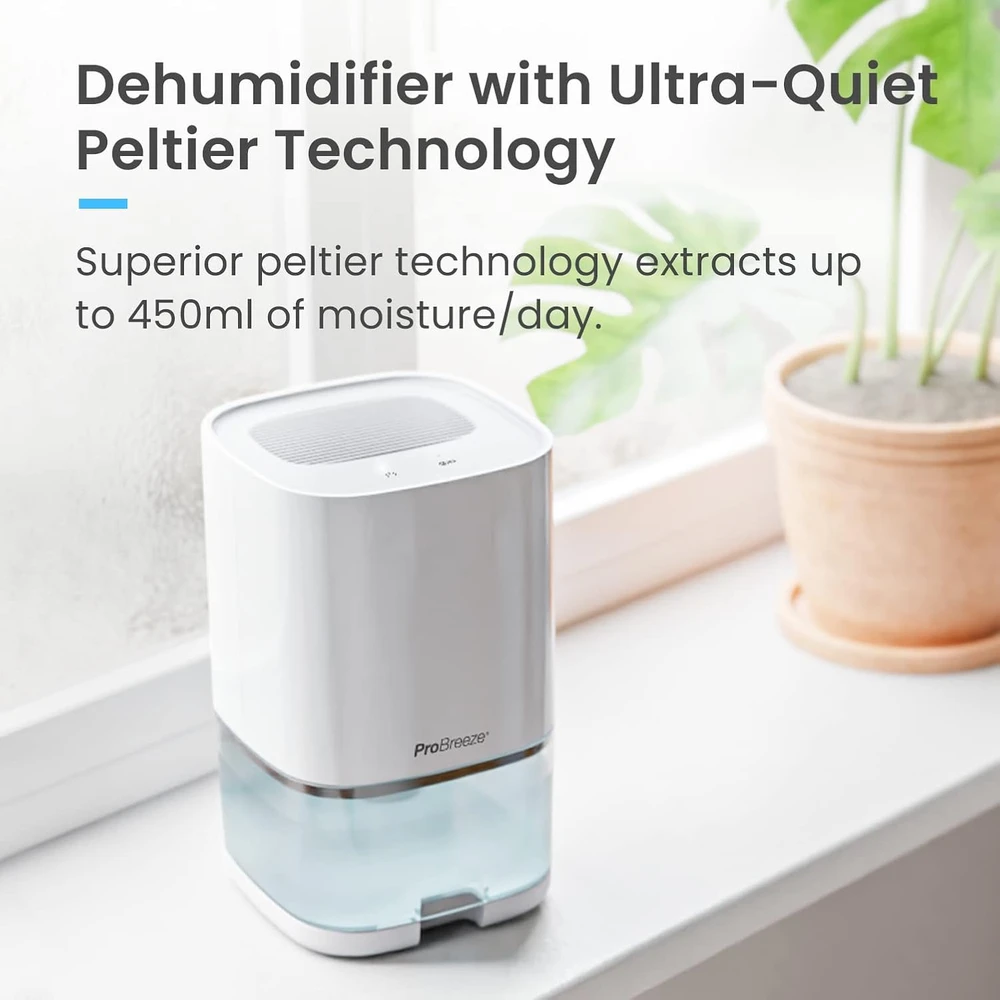 Pro Breeze oro sausintuvas 1 l, 600 ml/d., 36 W su laikmačiu PB-F17W