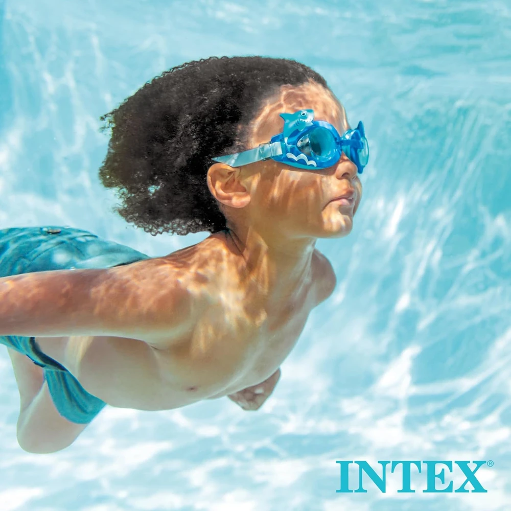 Intex Prie sienos montuojamas baseino paviršiaus separatorius Deluxe