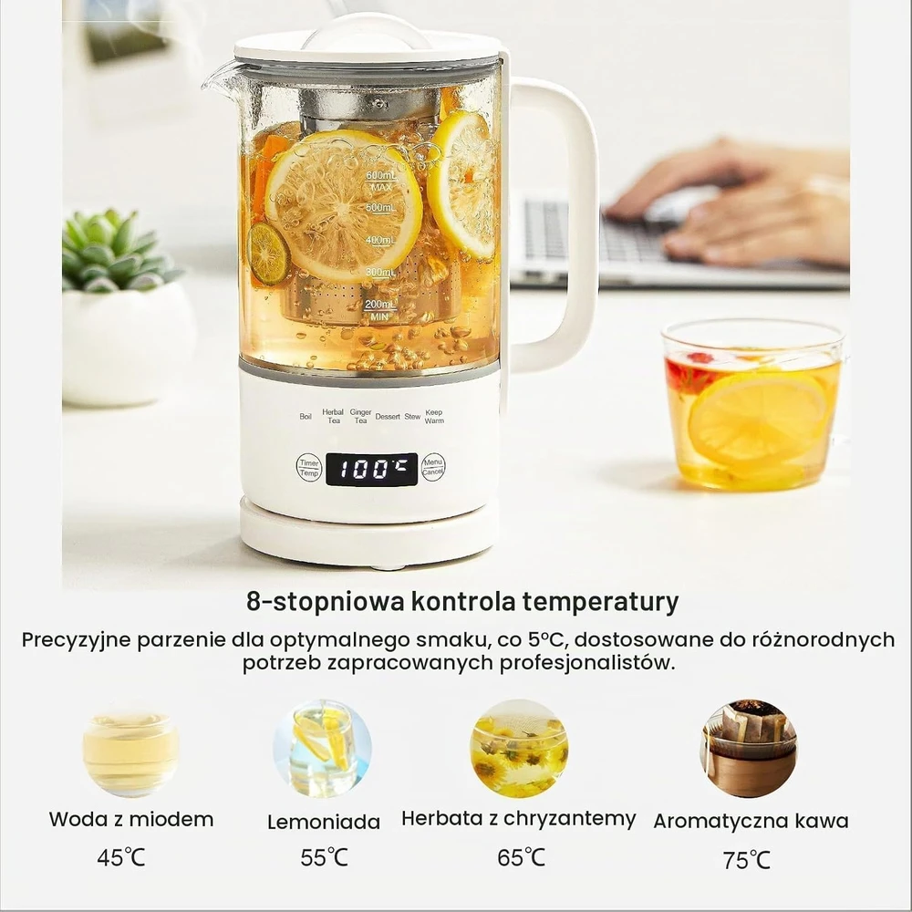 Rauwseul elektrinis stiklinis virdulys 0,6 l, 500 W su temperatūros reguliavimu LG-A600