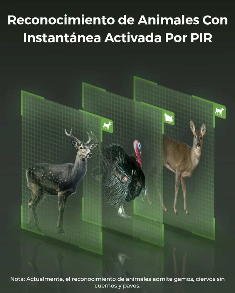Reolink lauko 4K IP vaizdo stebėjimo kamera su 4G LTE, naktiniu matymu, judesio sensoriais, saulės paneliu, Go Ranger PT+SP2