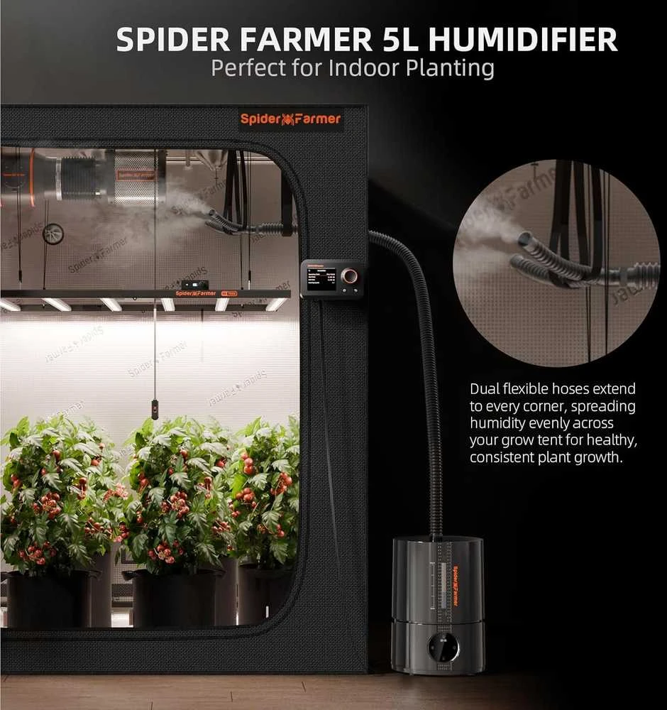 Spider Farmer oro drėkintuvas augalų auginimo palapinėms, 5 l talpa, 30 W, SF-H5