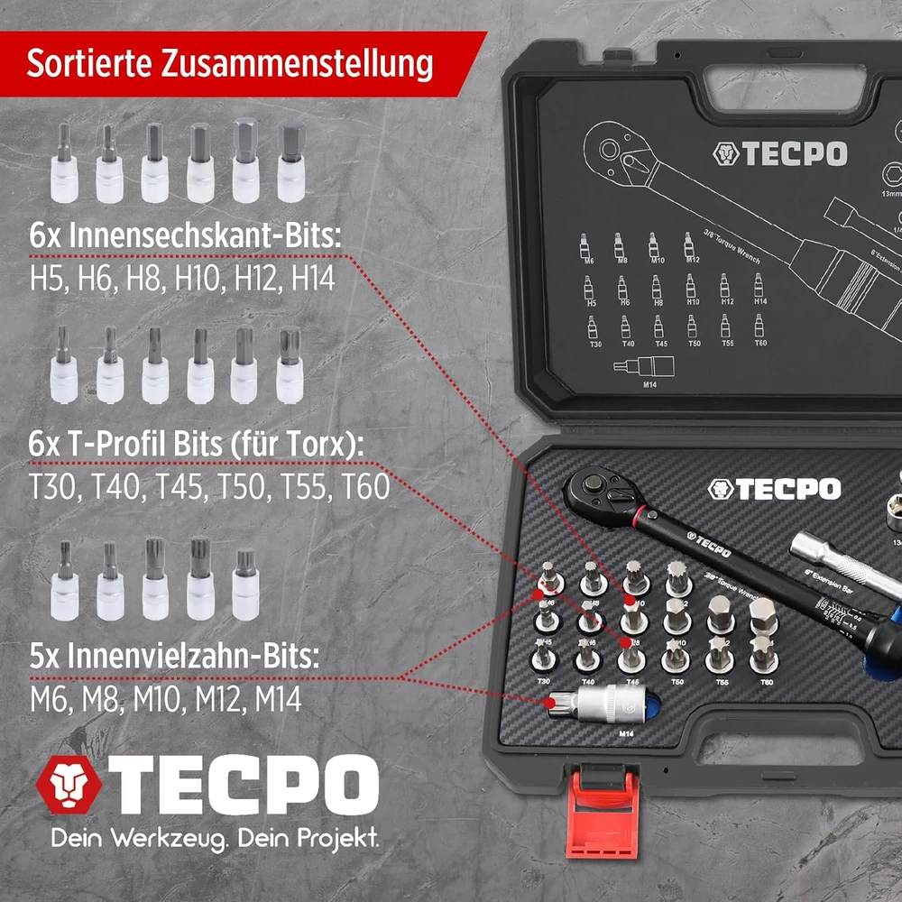 TECPO dinamometrinių raktų rinkinys motociklams, 3/8 col., 5–60 Nm, 300359