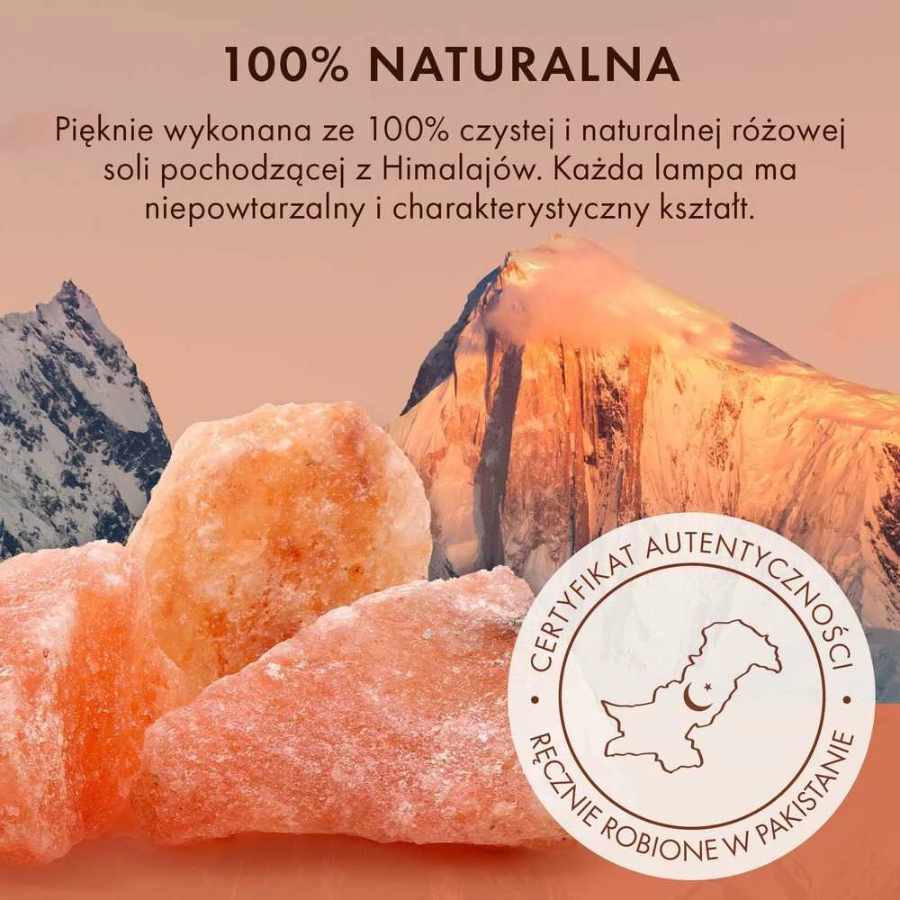 The Body Source BodySource Himalajų druskos lempa