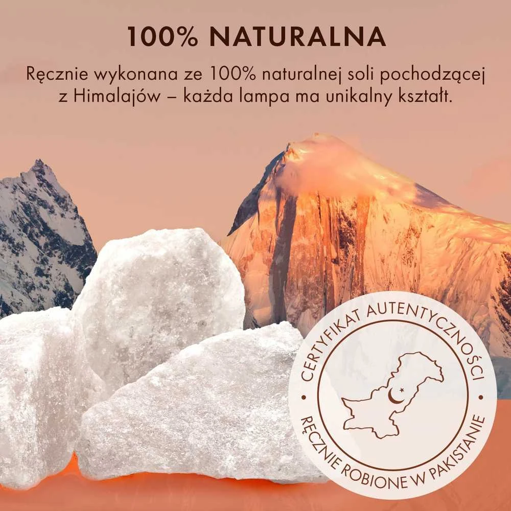 The Body Source Himalajų druskos lempa su reguliuojamu apšvietimu, 2–3kg, balta