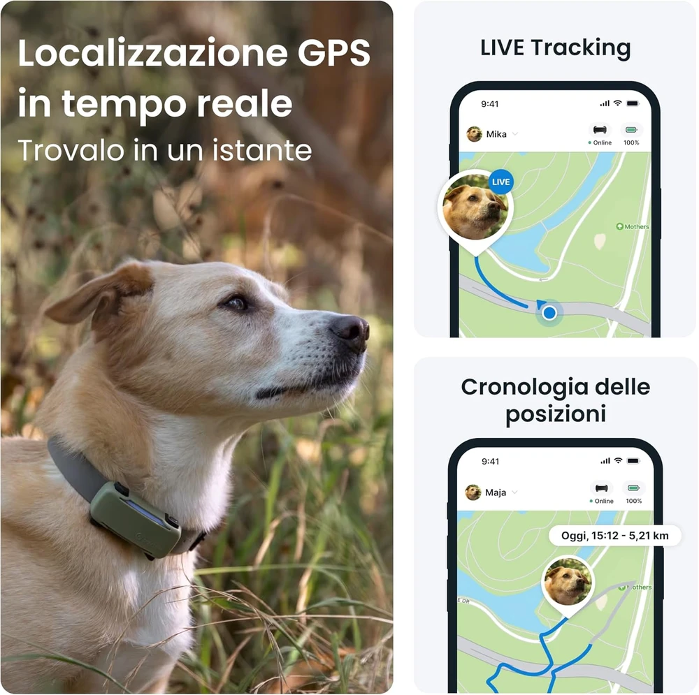 Tractive GPS antkaklis šunims su sveikatos stebėjimu, IP68, iki 14 d. veikimo