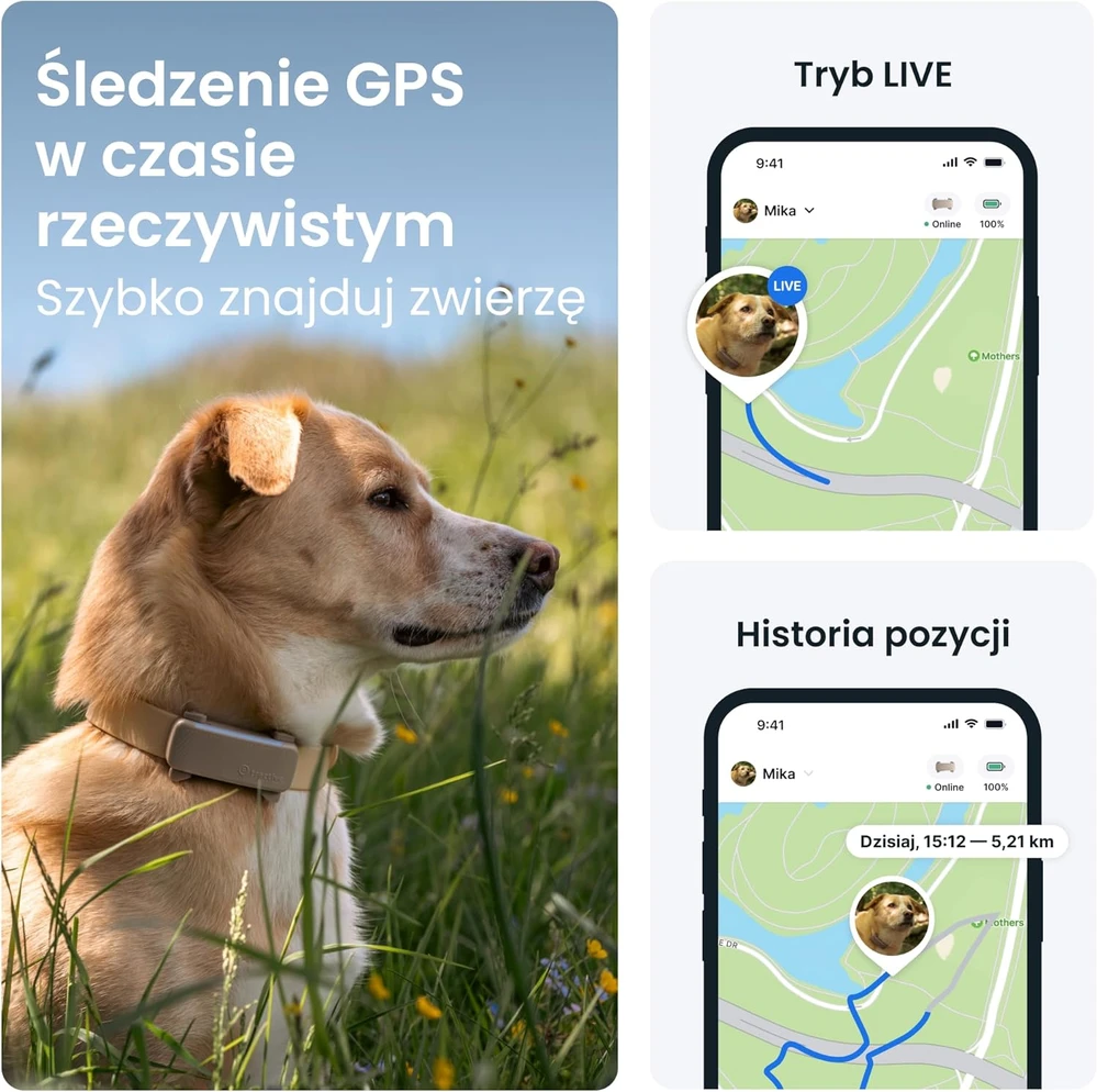 Tractive GPS sekimo įrenginys šunims, realaus laiko stebėjimas, sveikatos stebėjimas, juodas, TG6A