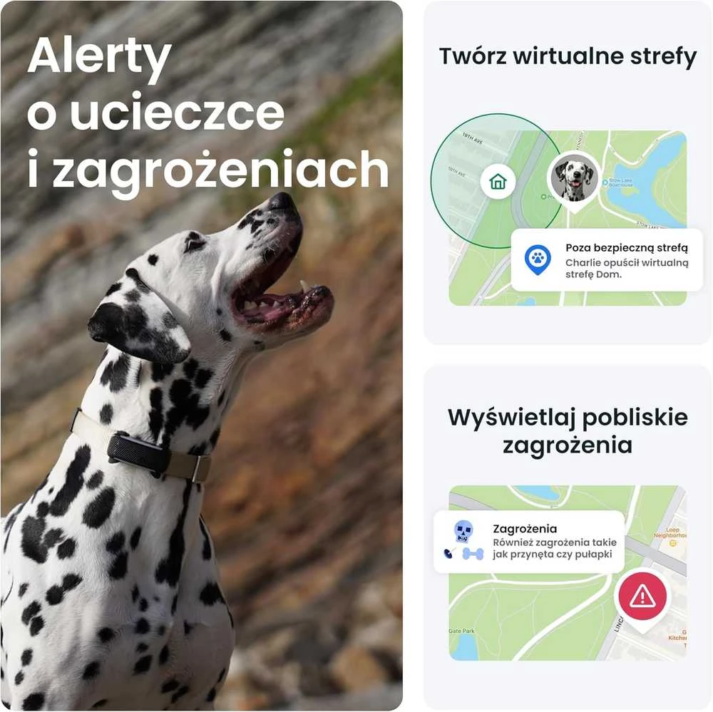 Tractive GPS sekimo įrenginys šunims, realaus laiko stebėjimas, sveikatos stebėjimas, juodas, TG6A