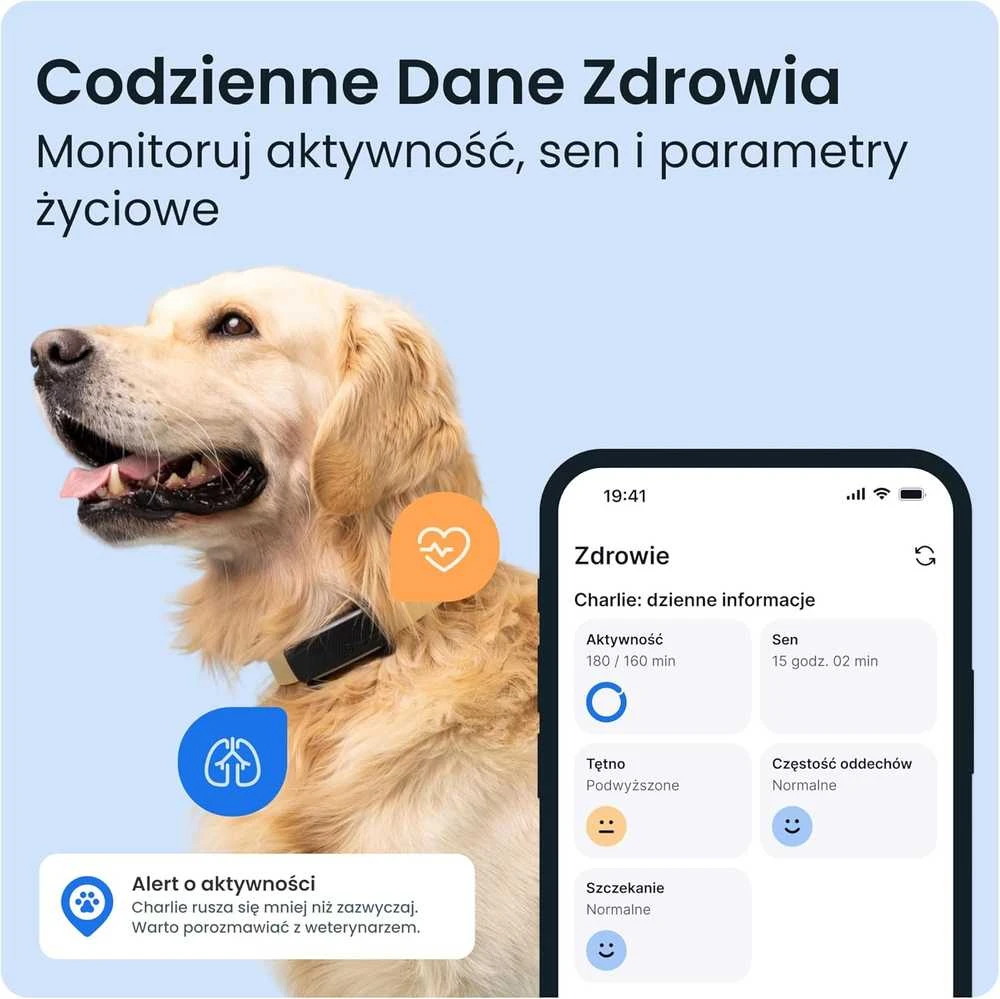 Tractive GPS sekimo įrenginys šunims, realaus laiko stebėjimas, sveikatos stebėjimas, juodas, TG6A