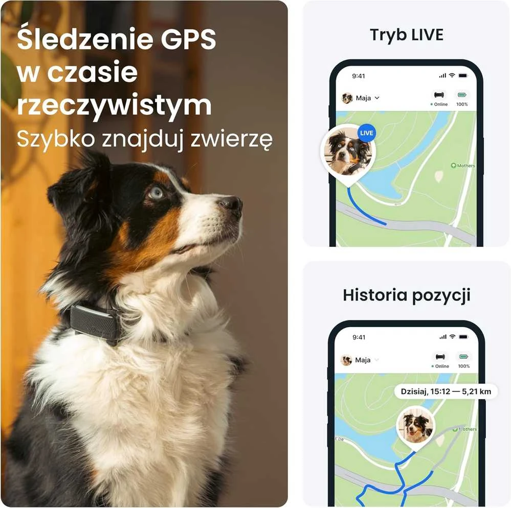 Tractive GPS sekimo įrenginys šunims, realaus laiko stebėjimas, sveikatos stebėjimas, juodas, TG6A
