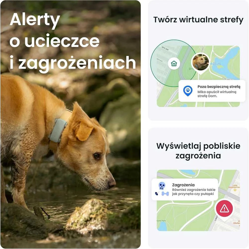 Tractive GPS šuns lokalizatorius, aktyvumo stebėjimas, sveikatos ir lojimo įspėjimai, TG6C, mėtinės spalvos