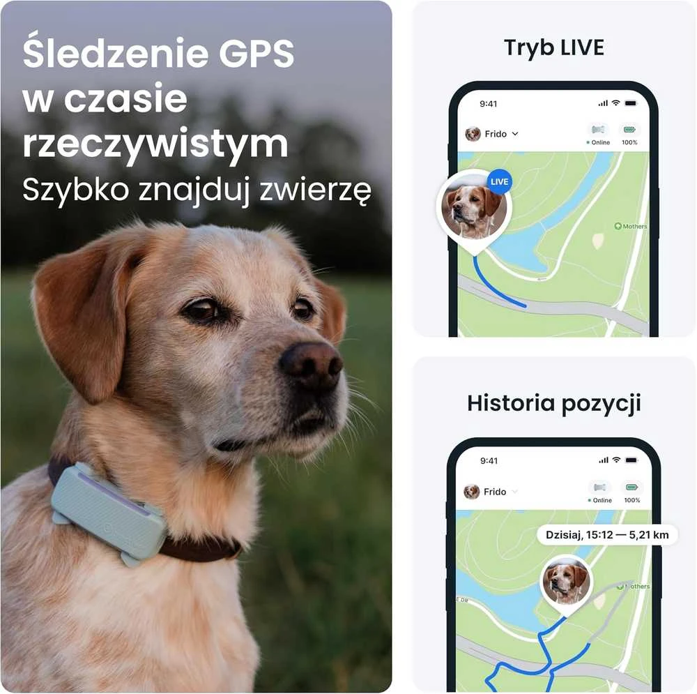 Tractive GPS šuns lokalizatorius, aktyvumo stebėjimas, sveikatos ir lojimo įspėjimai, TG6C, mėtinės spalvos