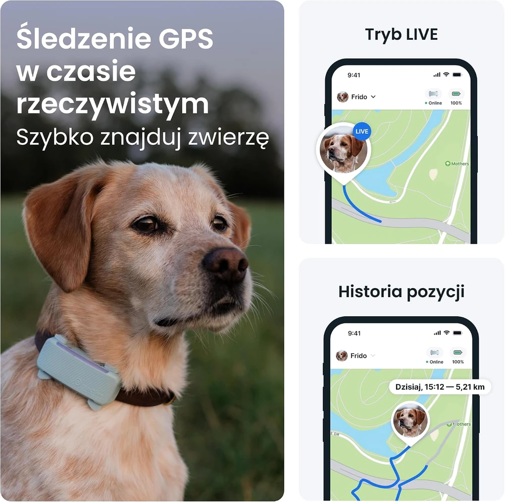 Tractive GPS šuns lokalizatorius, aktyvumo stebėjimas, sveikatos ir lojimo įspėjimai, TG6C, mėtinės spalvos
