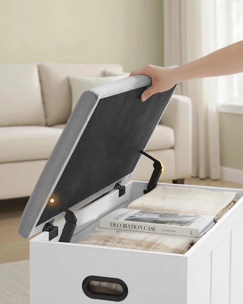 VASAGLE daiktadėžė-suoliukas su sėdėjimo pagalve 81 cm, iki 136 kg, LSB067W101