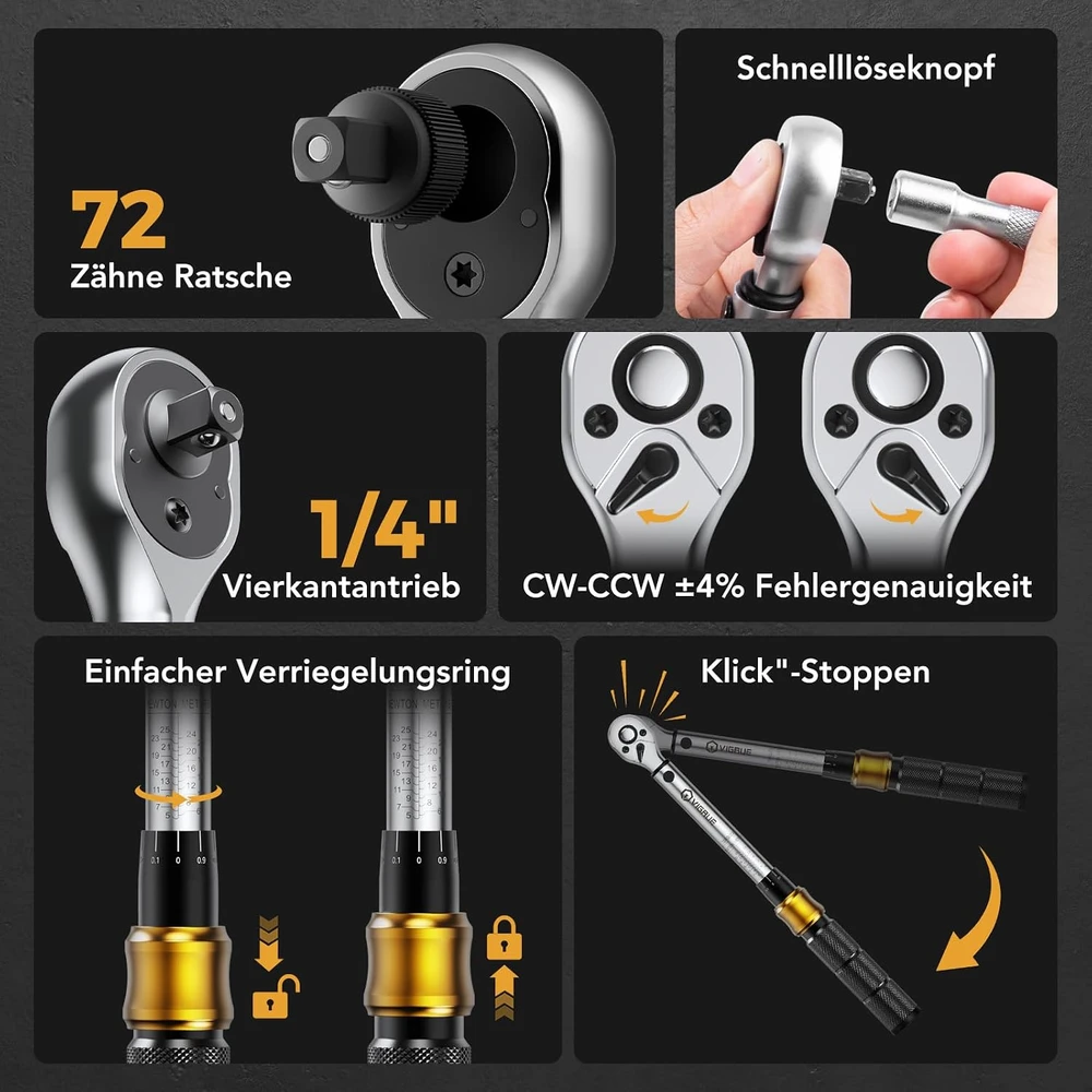 VIGRUE dinamometrinių raktų rinkinys 1/4 col., 5–25 Nm, DHNX-025