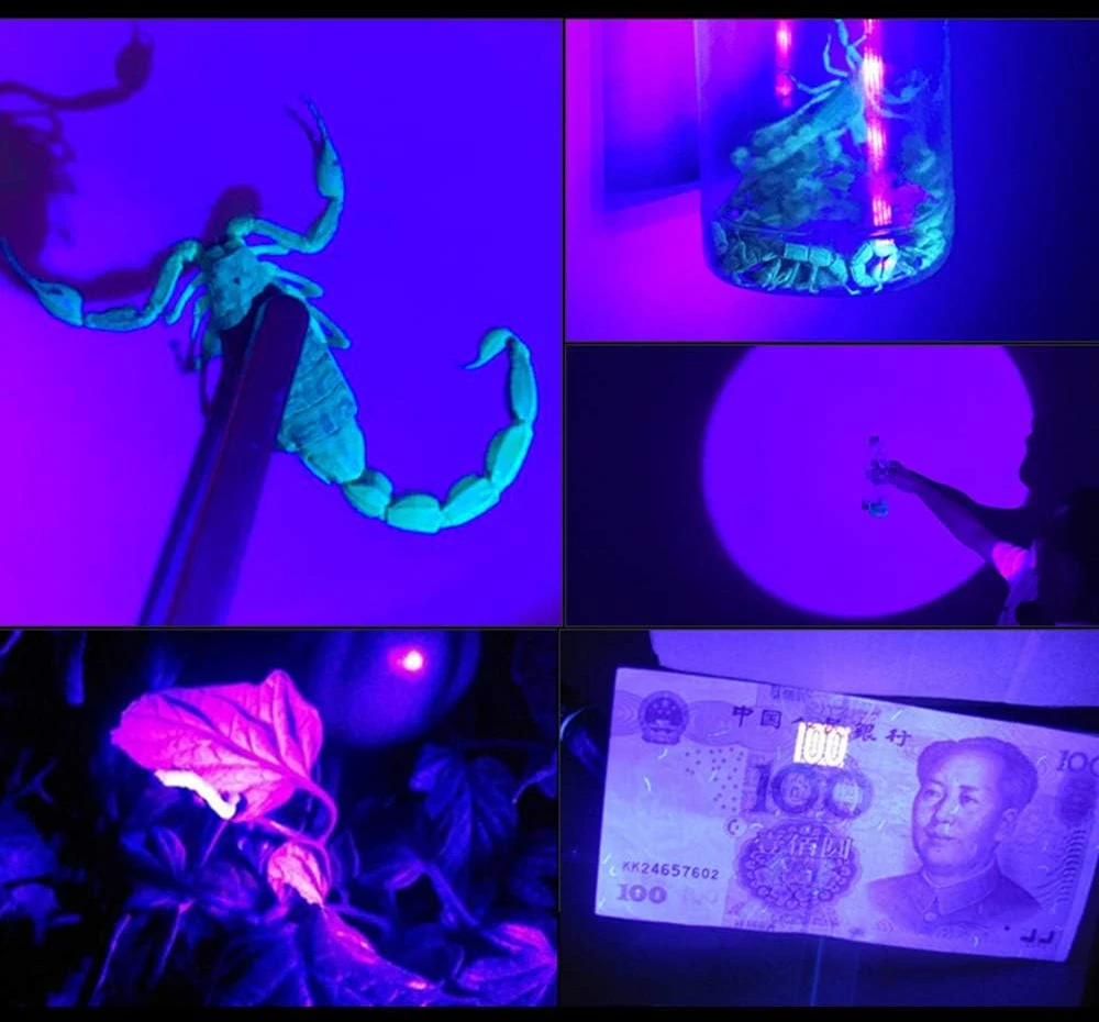 WESLITE UV LED žibintuvėlis galvai, 395 nm, USB įkrovimas, 3 režimai, lęšio reguliavimas