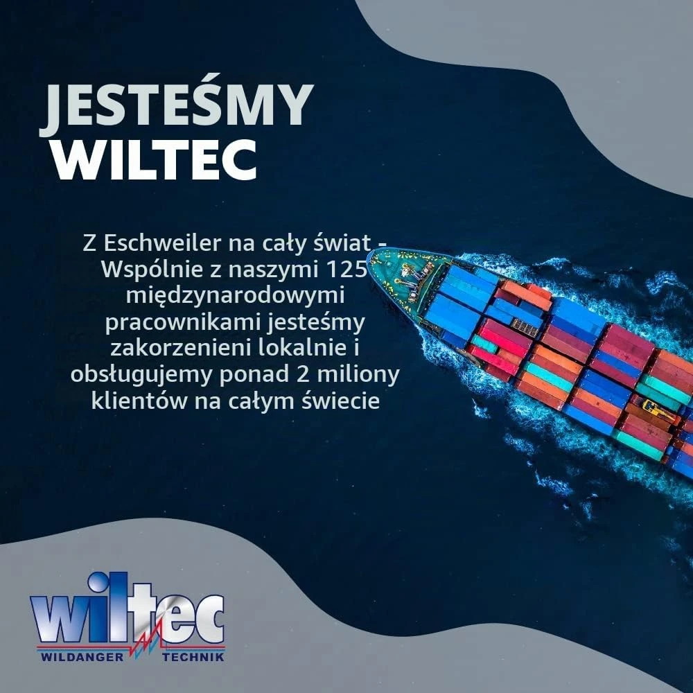 Wiltec automatiniai transportavimo tvirtinimo diržai 2 m, 100 daN, 2 vnt., 61885