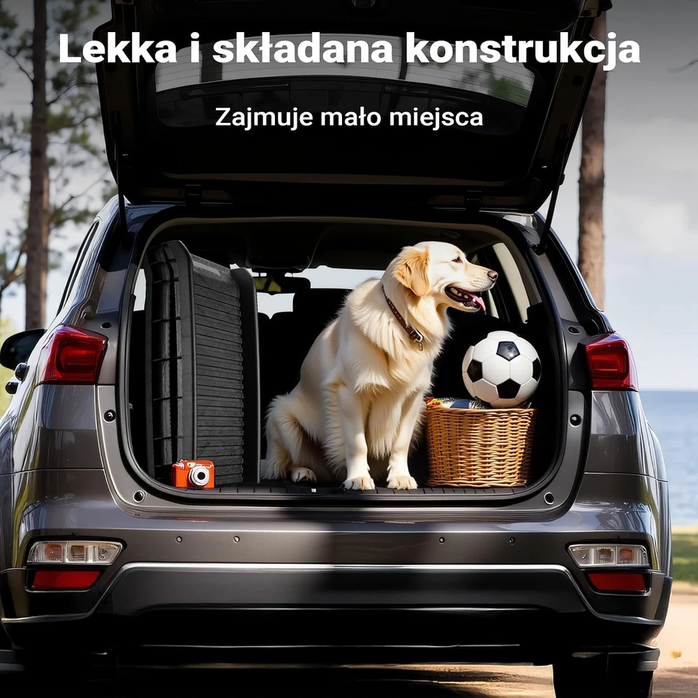 Wiltec sulankstoma rampa šunims automobiliui, 156 x 40 cm, iki 90 kg, 60884