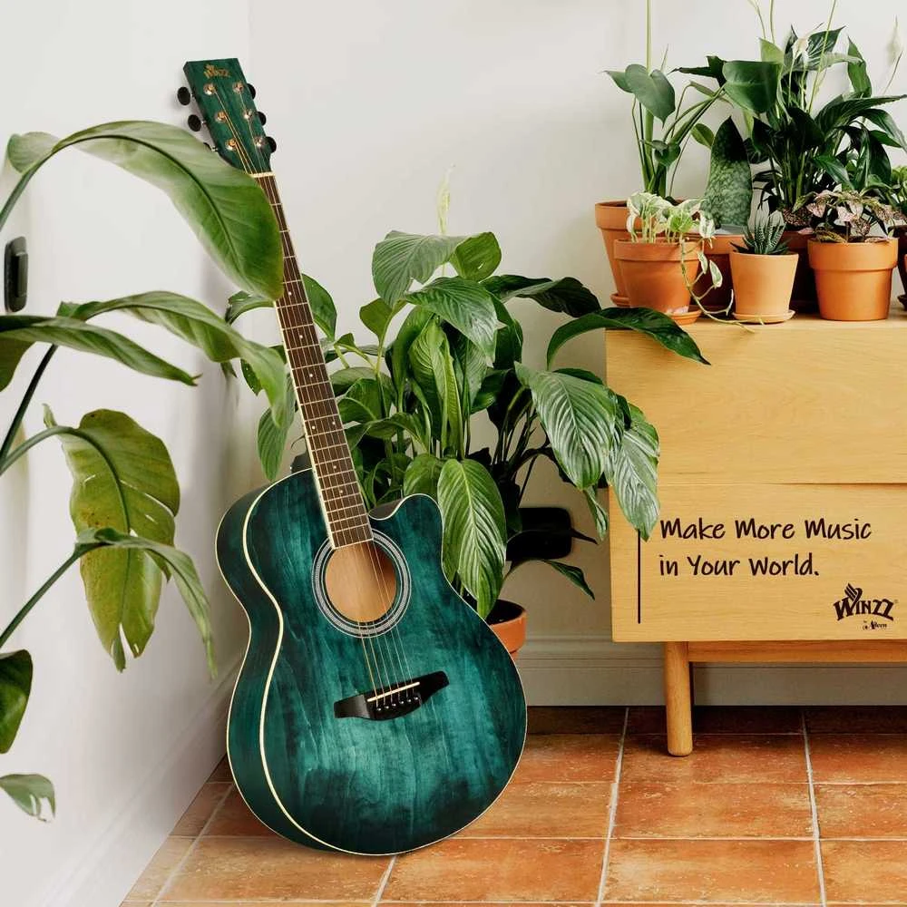 Winzz Plieninių stygų akustinė gitara pradedantiesiems