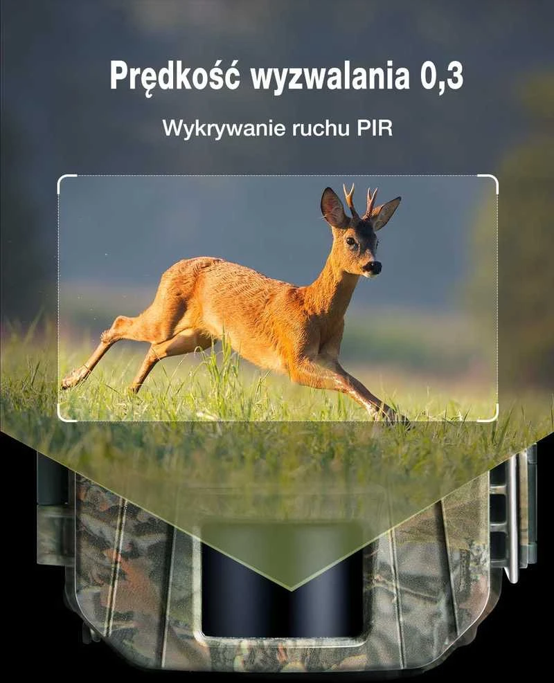 WOLFANG laukinė kamera 4K 48 MP IP66, judesio jutiklis, naktinis matymas, WT01